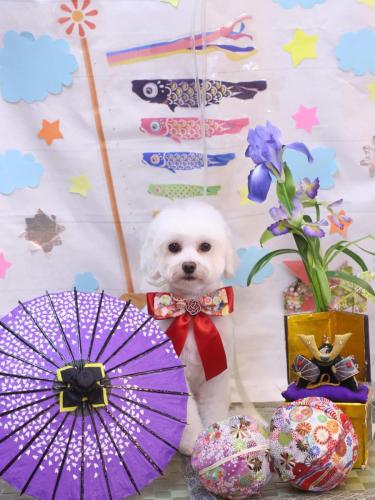 20240522ミルクくん